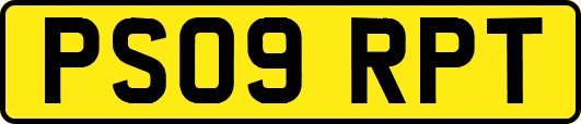 PS09RPT