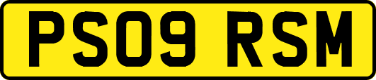 PS09RSM