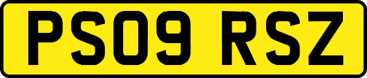 PS09RSZ
