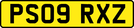 PS09RXZ