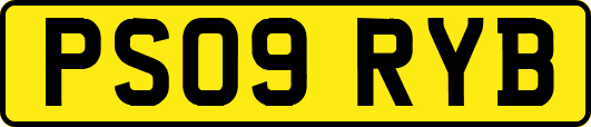 PS09RYB