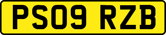 PS09RZB