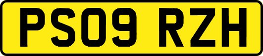 PS09RZH