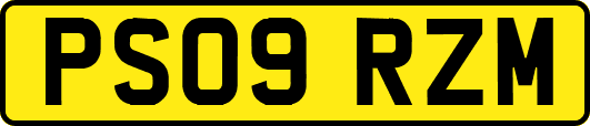 PS09RZM