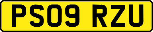 PS09RZU