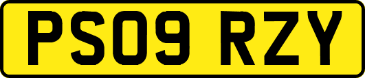 PS09RZY