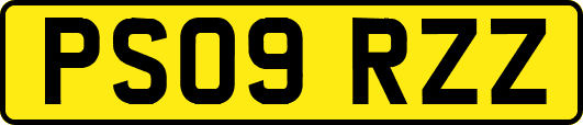 PS09RZZ