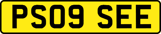 PS09SEE