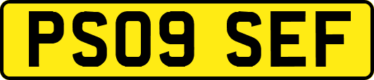 PS09SEF