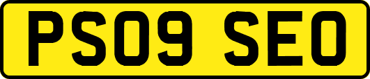 PS09SEO