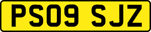PS09SJZ