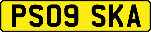 PS09SKA