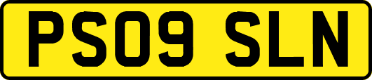PS09SLN