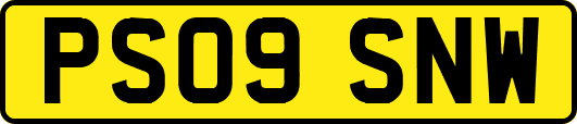 PS09SNW