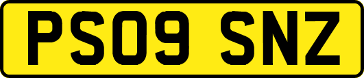 PS09SNZ