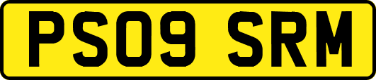 PS09SRM