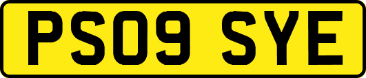 PS09SYE