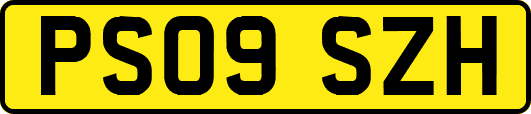 PS09SZH