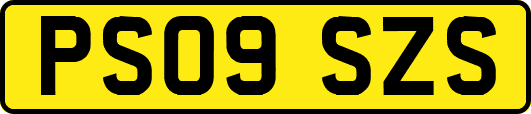 PS09SZS
