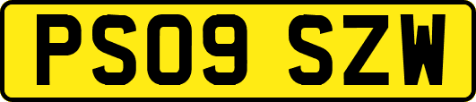 PS09SZW