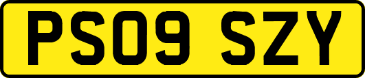PS09SZY
