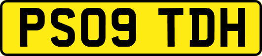 PS09TDH