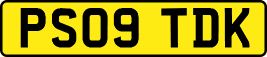 PS09TDK