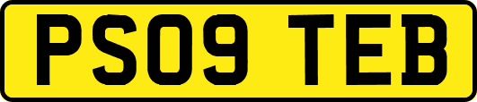PS09TEB