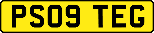 PS09TEG