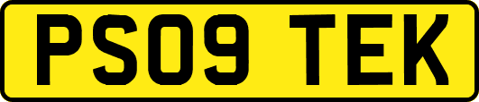 PS09TEK