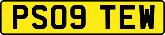 PS09TEW