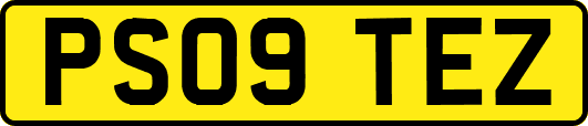 PS09TEZ
