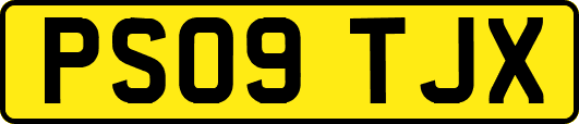 PS09TJX