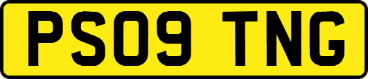 PS09TNG