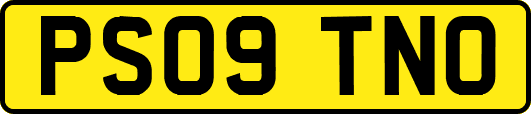 PS09TNO