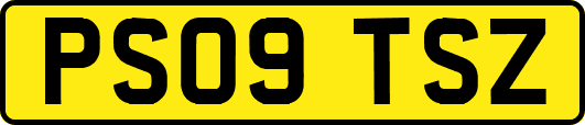 PS09TSZ