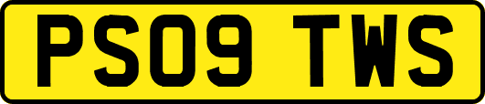 PS09TWS
