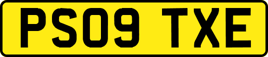PS09TXE