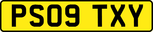 PS09TXY