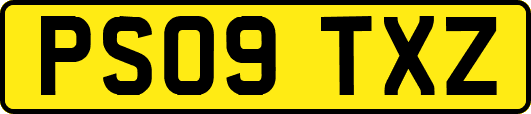 PS09TXZ