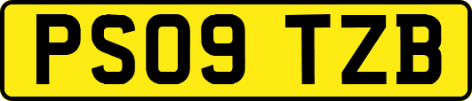 PS09TZB