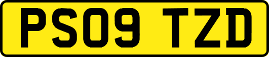 PS09TZD