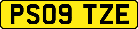 PS09TZE