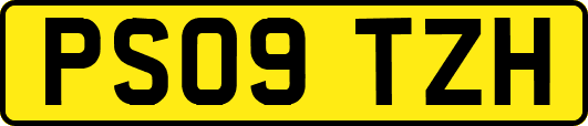 PS09TZH