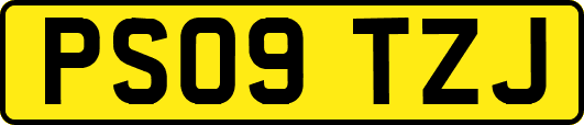 PS09TZJ