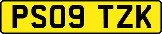 PS09TZK