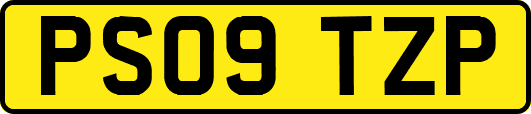 PS09TZP