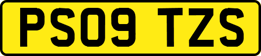 PS09TZS