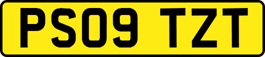 PS09TZT