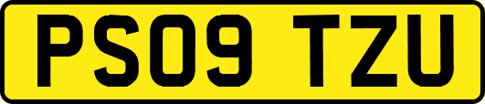 PS09TZU